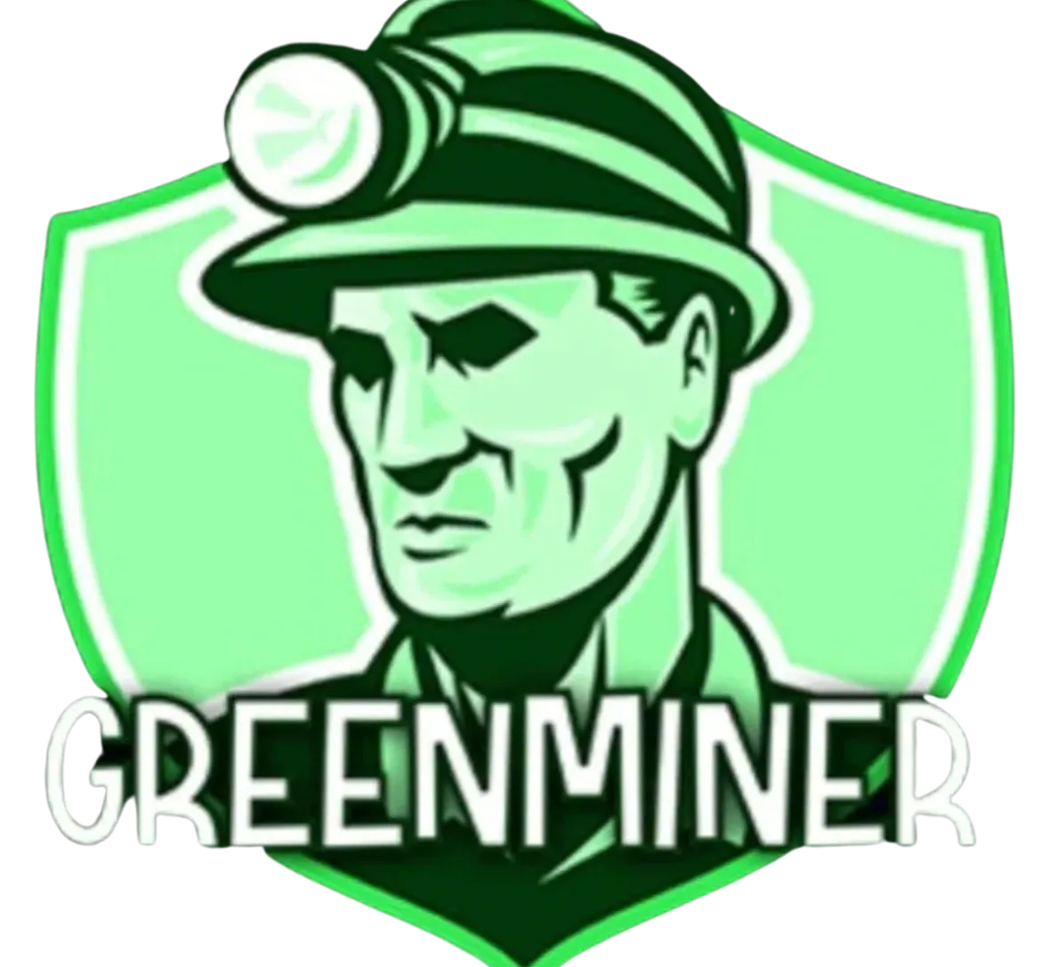Green Energy Crypto Miner